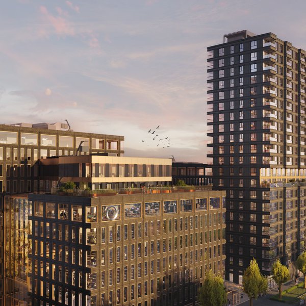 Edge Vero LinkedIn Square for Web