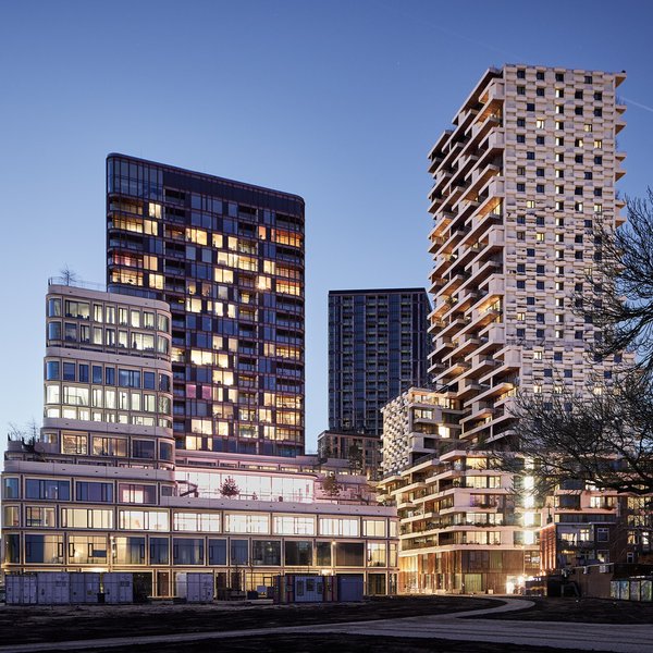 Wonderwoods - ©Milan Hofmans, 2 maart 2025 5